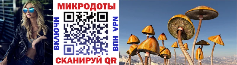 Псилоцибиновые грибы Psilocybe  МЕГА рабочий сайт  Арамиль 